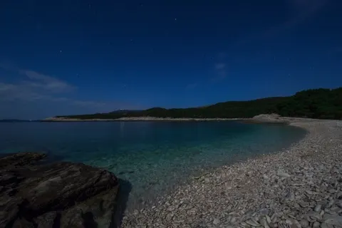 Vis tafra 005 480